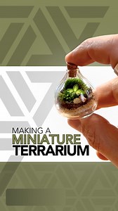Terrariums might be one of those things that’s even better when it’s tiny 🥹 #tutorial #plants #terrarium #moss #howto #diy #portland #miniature | Johnathon Q Swanson