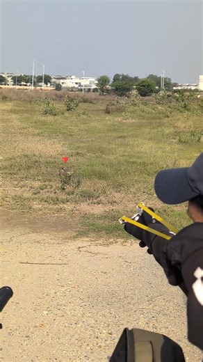 Tateri hunting with slingshot tips for the #slingshot #hunting #shorts #youtubeshorts