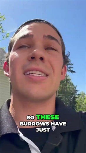 Carpenter Bee Infestation Sawdust Everywhere!