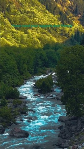 Cinematic Nature Views 🎥⛰️ #Nature# beauty 💦💧💧💧🌹🌲🌹🌹🌹🌹🌹🌹🌹🌹🌹🌹