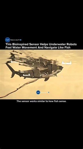 Scientists Created Fish-Inspired Sensors That Let Robots Feel Water Like Living Creatures #robot