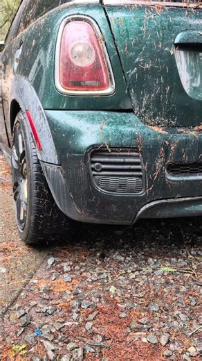 2008 Mini Cooper S: Camber & Stance Taco Or? #mini #r56 #lol #pnw #cartok #minicooper #turbo #wtf