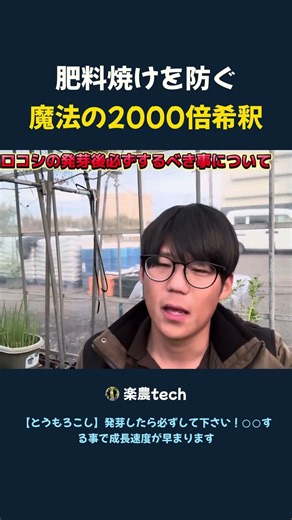 肥料焼けを防ぐ 魔法の2000倍希釈