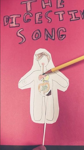 Digestive System Song