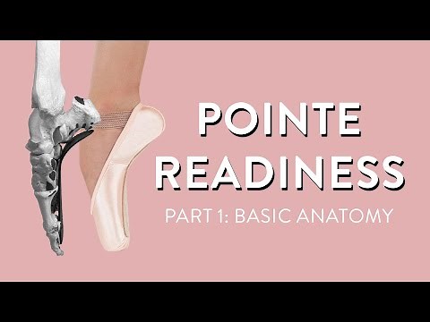 Pointe Readiness Part 1: Basic Anatomy | Suffolk Dance