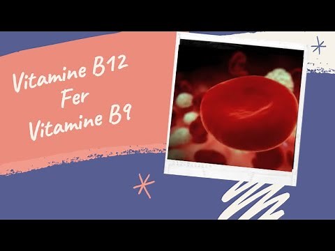 Comment se forment nos globules rouges?// L'érythropoïèse