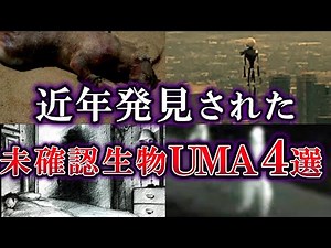 【ゆっくり解説】近年発見された 未確認生物４選【UMA】