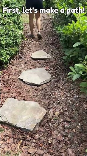 Let’s make a pollinator garden!