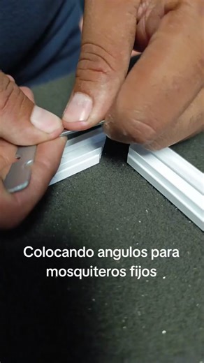 Mosquiteros fijos en color blanco