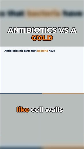 Why antibiotics can't touch a cold