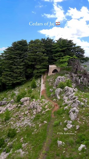 #Jaj Cedars are among the last survivors of the immense forests that lay across Mount Lebanon in ancient times. The most famous cedar forest is the one located in Jaj region, Jbeil, Lebanon and also known as the Cedars of the Lord. The Cedar forest in Jaj contains about 375 trees, some between 1200 and 2000 years old. They stand on slopes 6000 ft. By @flyoverlebanon #Nature #Hiking #Exploring #Travel #Destination #MyLebanon #AmazingLebanon #LiveLoveLebanon #DiscoverLebanon #ExploreLebanon #Proud