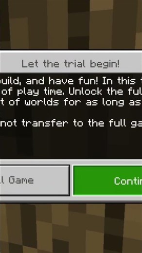 make a village on the Minecraft