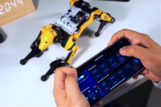 Learn the Skills of a Web Developer With This Programmable Dog