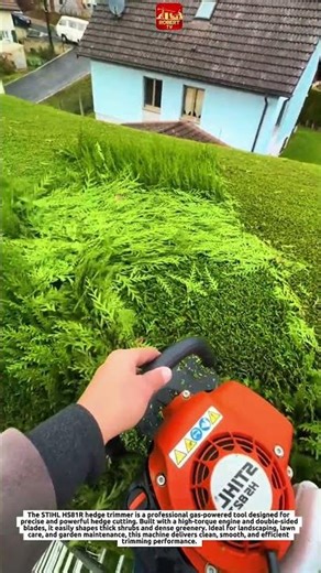 INSANE Hedge Trimming with STIHL HS81R | Satisfying Garden Transformation