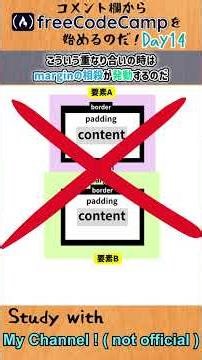 【study with me】freeCodeCampでCSS入門してみた day14 - CSS - #freecodecamp #プログラミング #プログラミング入門 #css