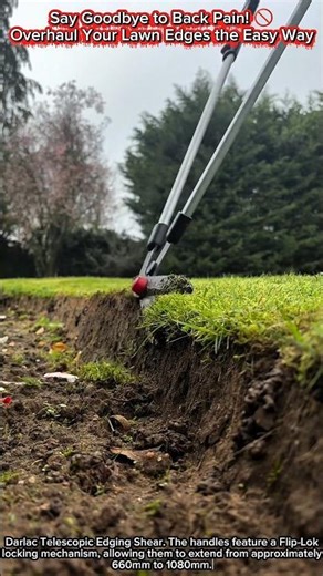Say Goodbye to Back Pain! 🚫 Overhaul Your Lawn Edges the Easy Way