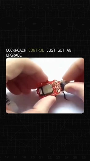AI War Room | Smart pest control could soon fit in your pocket. Researchers are exploring a programmable chip that connects cockroach control systems to... | Instagram