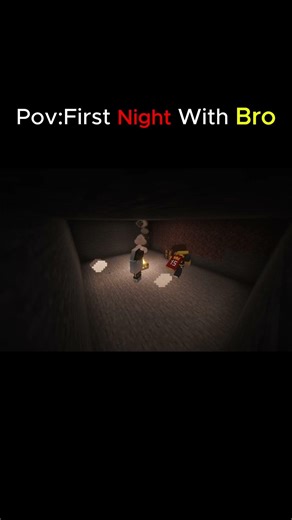 POV: Your First Night Goes Wrong #minecraft #shorts #funny