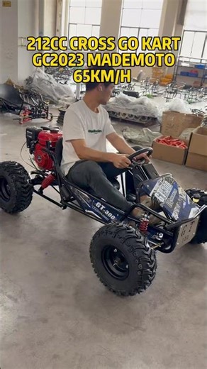200cc off road go kart factory, one seat Dune Buggy for rental business kart #gokart #buggy