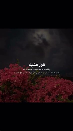 Quran recitation 🤍#abdulrahmanmossad#عبدالرحمن_مسعد#ramadan2026#reel#viral#ytshorts#latestupdate