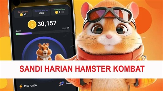 Sandi Harian Hamster Kombat 4 Agustus 2024 SCRYPT, Panen 1 Juta Koin, Segera Perbanyak Keuntungan - TribunTrends.com