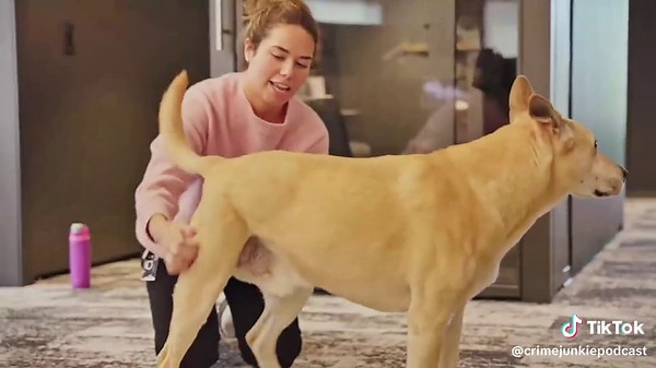 Chuck's Day in the Office: A Very Important Pruppet