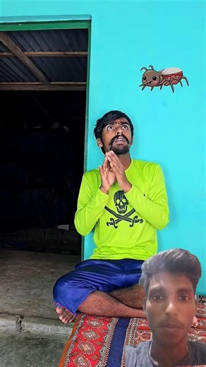 Mosquito Won't Let Little Brother Sleep! #campfire #funny #birthdaycelebration #fruitcutting