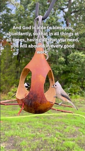 Luke 12:24 Consider the Birds