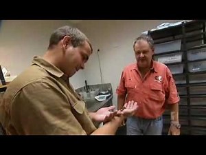 Oenpelli python Safari - 7:30 Report