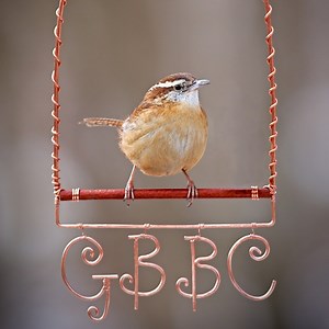 Thanks to everyone around the world for participating in the 2021 Great Backyard Bird Count! We made this thank-you video to feature some of the amazing photos you all submitted during the count. Want to keep counting? Here are some other fun projects to be part of: https://hubs.ly/H0GYwJm0 | Cornell Lab of Ornithology