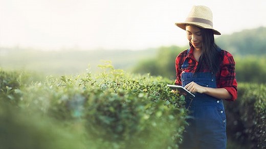 Trade Promotion Excellence