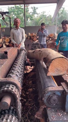 Bigg tree heavy load machine peeling 😱🪵|#peeling #shortfeed #woodwork