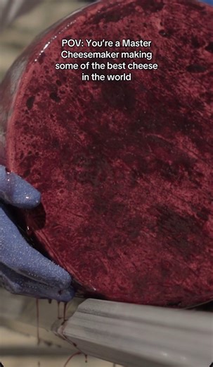 3.2K views · 60 reactions | Sartori’s Master Cheesemakers bring decades of experience and passion to every wheel. Learn more about these masters of their craft at the link in our bio. #SartoriCheese #MasterCheesemaker | Sartori Cheese | Facebook