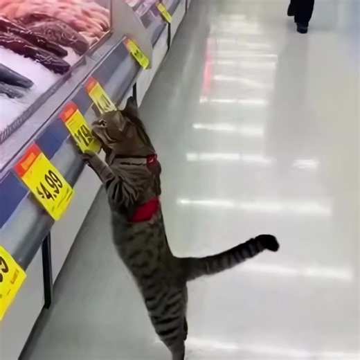 Be the first to play this brand new game | Hidden City