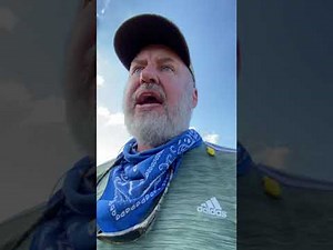 Dove field preparation, part two, when to cut and when not to plus tips and tactics