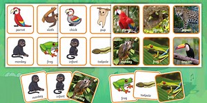 Jungle Animals and Their Babies Matching Cards