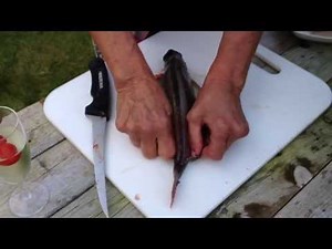 HUR MAN BYXAR/FILÉAR ABBORRE