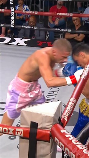 A tough phone booth fight but Dominic Valle comes out on top and takes the decision win over Former WBA World Champion Rene Alvarado | ProBox TV