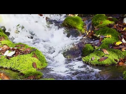 مناظر طبيعية | مناظر طبيعية خلابة متحركة hd