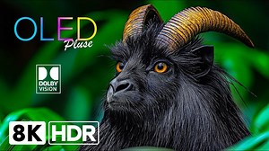 最精彩的 8K HDR 杜比视界 (8K 超高清视频) 120 fps