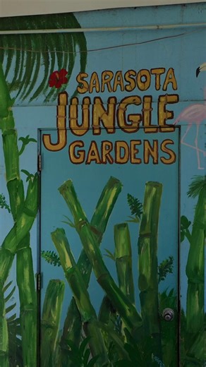 Our famous Frosty Jr. is a true artist. 🎨🖌️ It’s hard to outshine him when he is doing what he loves! 💗 Come by the gardens and see if you are smarter than a bird. (Link in bio 👆) #sarasotafl #zoo #sarasotaflorida