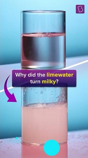 Why Limewater Turns Milky When Exposed To CO2? | Science Experiment At Home | #Shorts