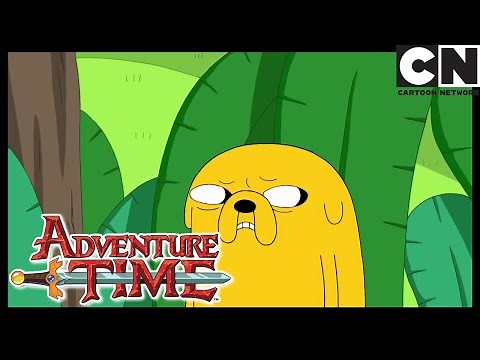 Conquest of Cuteness | Adventure Time | Cartoon Network