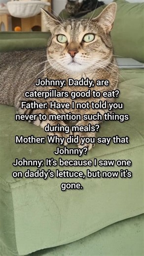 80K views · 704 reactions | Caterpillar on Dad’s lettuce  | Winter Cat | Facebook