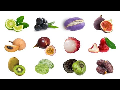 Types of Exotic Fruits Part 2 | Tropical Fruit Vocabulary in English