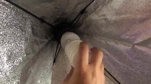 Watch Easy setup on Amazon Live