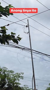 Line to Line, Line to Neutral or 3 phase #electricaltutorial | Electrical Tutorial