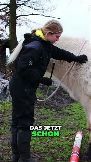Horse-friendly exercises for balance and tolting