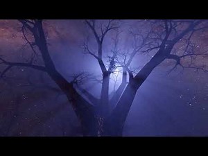 This awe-inspiring collage of nature's extreme beauty will leave you speechless!