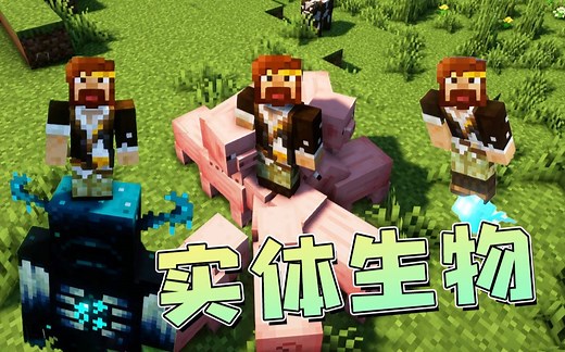 ★我的世界★实体生物 模组_哔哩哔哩_bilibili